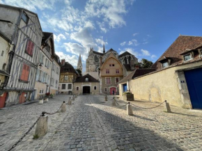 Appartement le Paul Bert Auxerre Les Quais 2 personnes